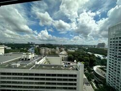 Hana (D10), Condominium #516715041